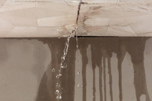 Professional Sewage Cleanup technician working in Conway, WA